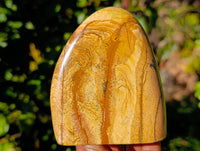 Polished Picture Stone Jasper Standing Free Forms x 3 From Ais-Ais, Namibia - Toprock Gemstones and Minerals 