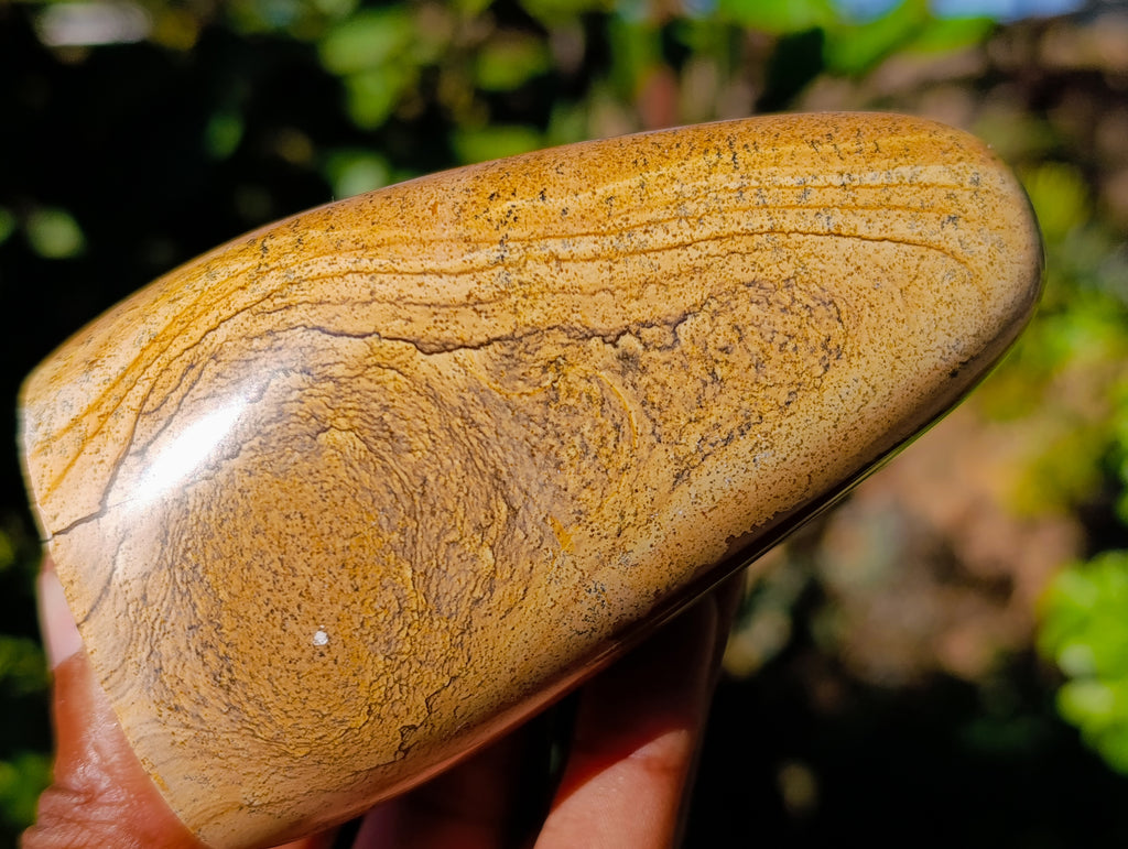 Polished Picture Stone Jasper Standing Free Forms x 3 From Ais-Ais, Namibia - Toprock Gemstones and Minerals 