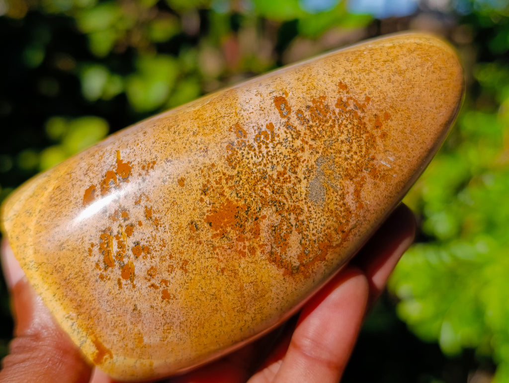 Polished Picture Stone Jasper Standing Free Forms x 3 From Ais-Ais, Namibia - Toprock Gemstones and Minerals 