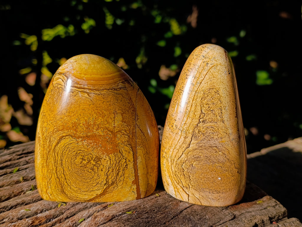 Polished Picture Stone Jasper Standing Free Forms x 3 From Ais-Ais, Namibia - Toprock Gemstones and Minerals 
