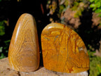 Polished Picture Stone Jasper Standing Free Forms x 3 From Ais-Ais, Namibia - Toprock Gemstones and Minerals 