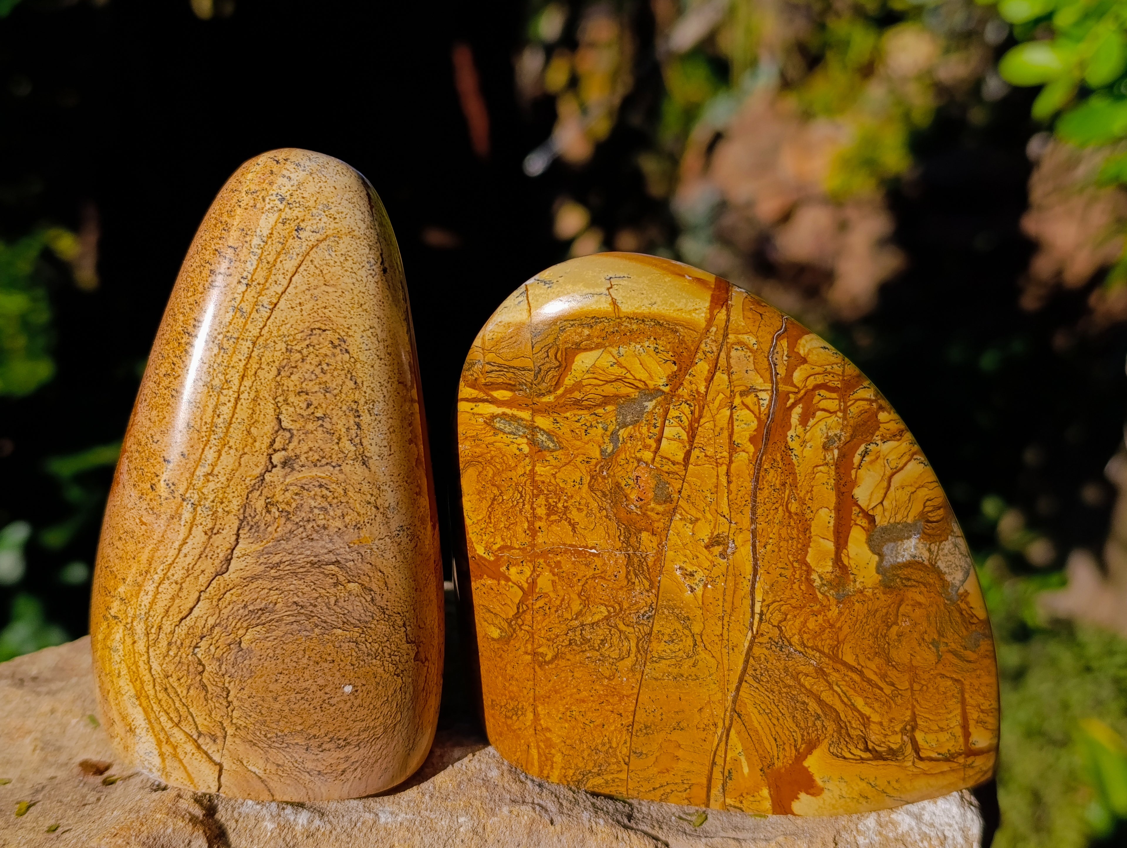 Polished Picture Stone Jasper Standing Free Forms x 3 From Ais-Ais, Namibia - Toprock Gemstones and Minerals 