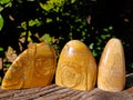Polished Picture Stone Jasper Standing Free Forms x 3 From Ais-Ais, Namibia - Toprock Gemstones and Minerals 