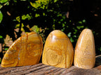 Polished Picture Stone Jasper Standing Free Forms x 3 From Ais-Ais, Namibia - Toprock Gemstones and Minerals 