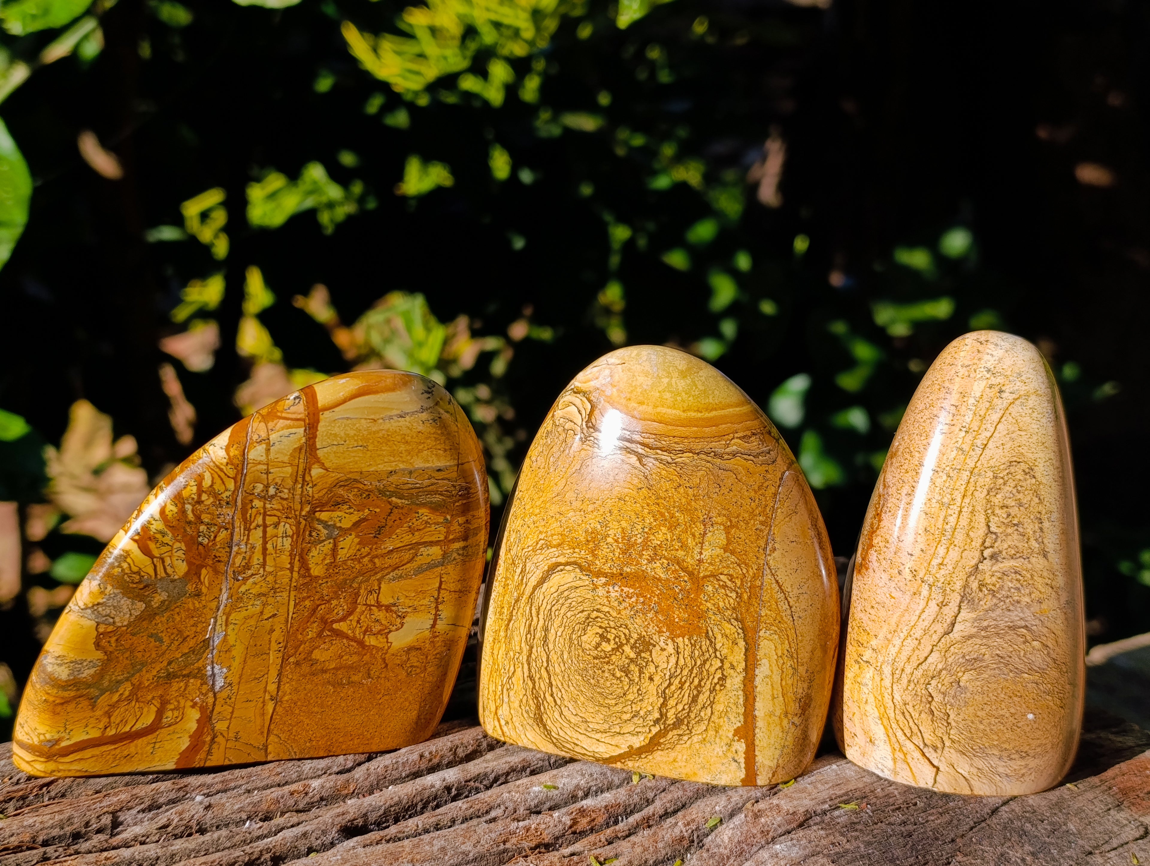 Polished Picture Stone Jasper Standing Free Forms x 3 From Ais-Ais, Namibia - Toprock Gemstones and Minerals 