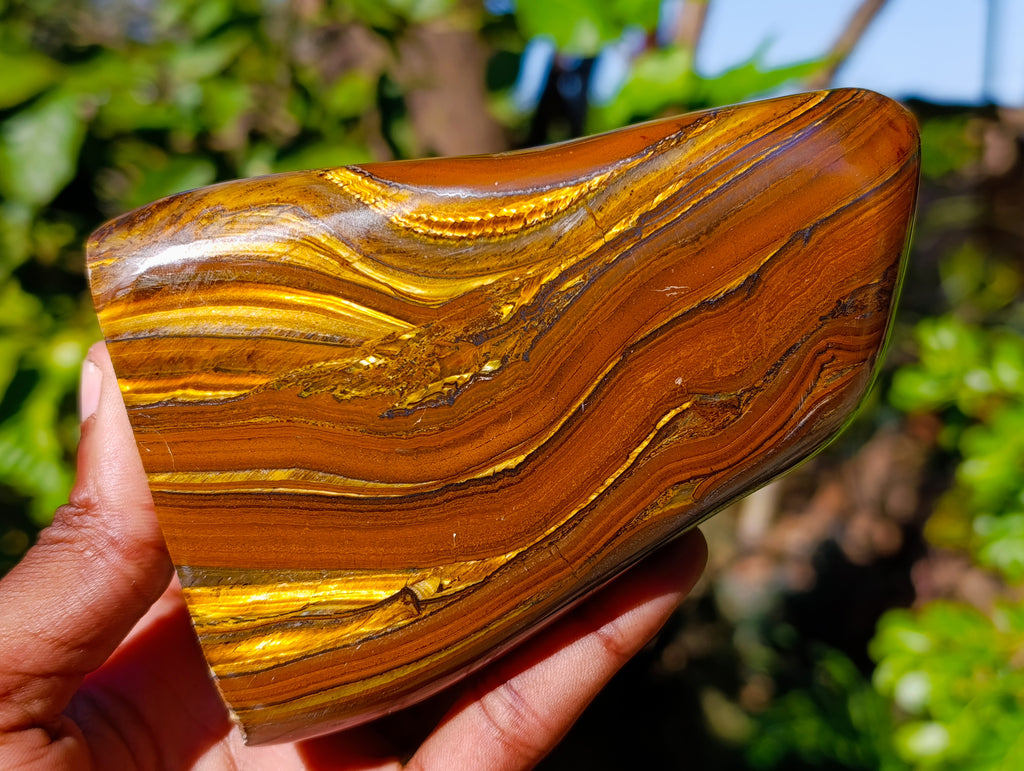 Polished Golden River Tigers Eye Standing Free Forms x 2 From Prieska, South Africa - Toprock Gemstones and Minerals 