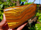 Polished Golden River Tigers Eye Standing Free Forms x 2 From Prieska, South Africa - Toprock Gemstones and Minerals 