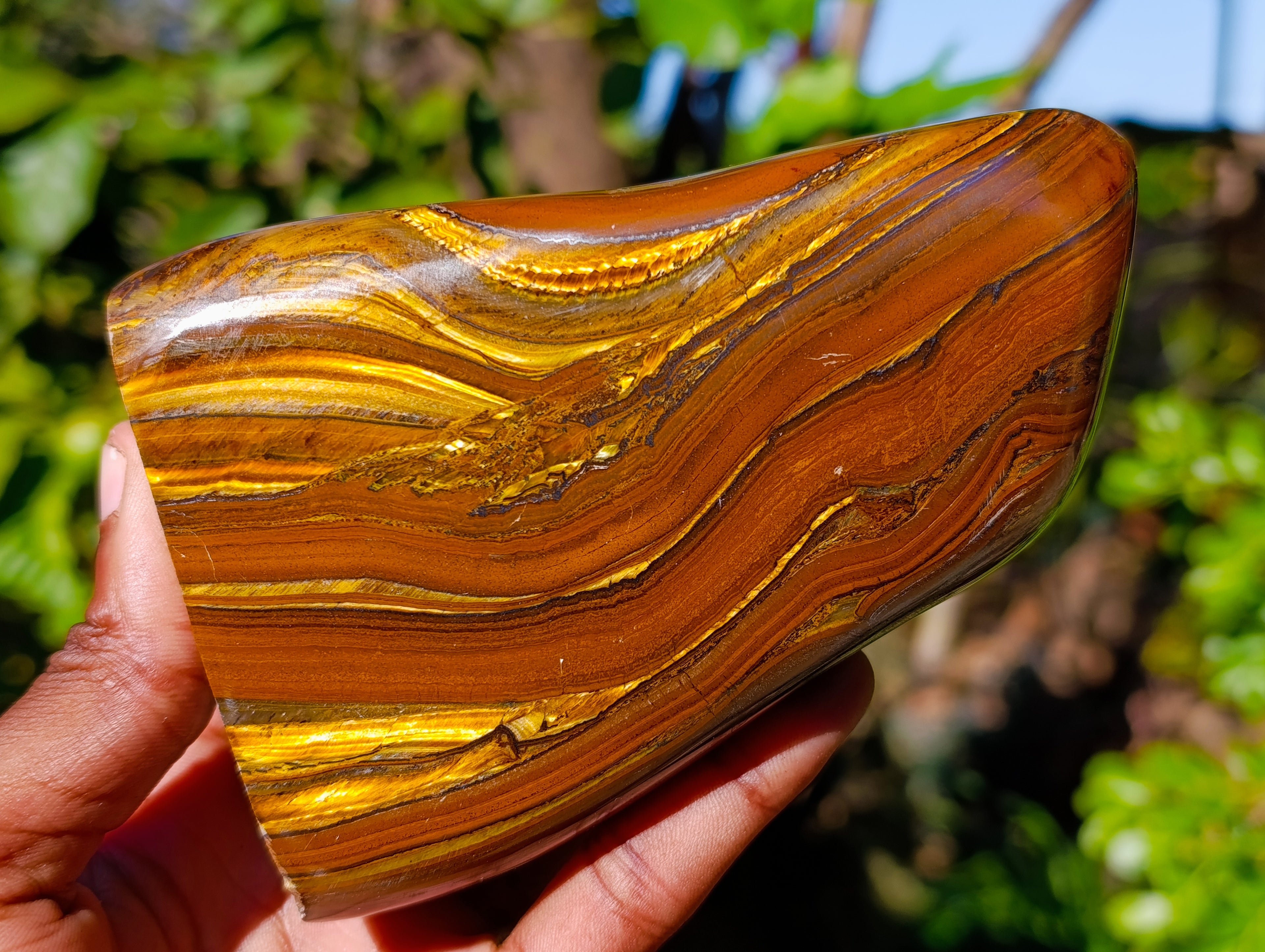Polished Golden River Tigers Eye Standing Free Forms x 2 From Prieska, South Africa - Toprock Gemstones and Minerals 