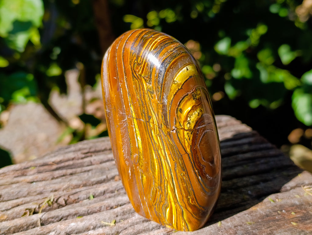 Polished Golden River Tigers Eye Standing Free Forms x 2 From Prieska, South Africa - Toprock Gemstones and Minerals 