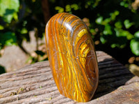 Polished Golden River Tigers Eye Standing Free Forms x 2 From Prieska, South Africa