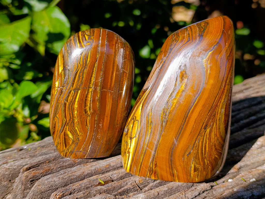 Polished Golden River Tigers Eye Standing Free Forms x 2 From Prieska, South Africa - Toprock Gemstones and Minerals 