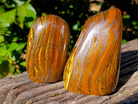Polished Golden River Tigers Eye Standing Free Forms x 2 From Prieska, South Africa