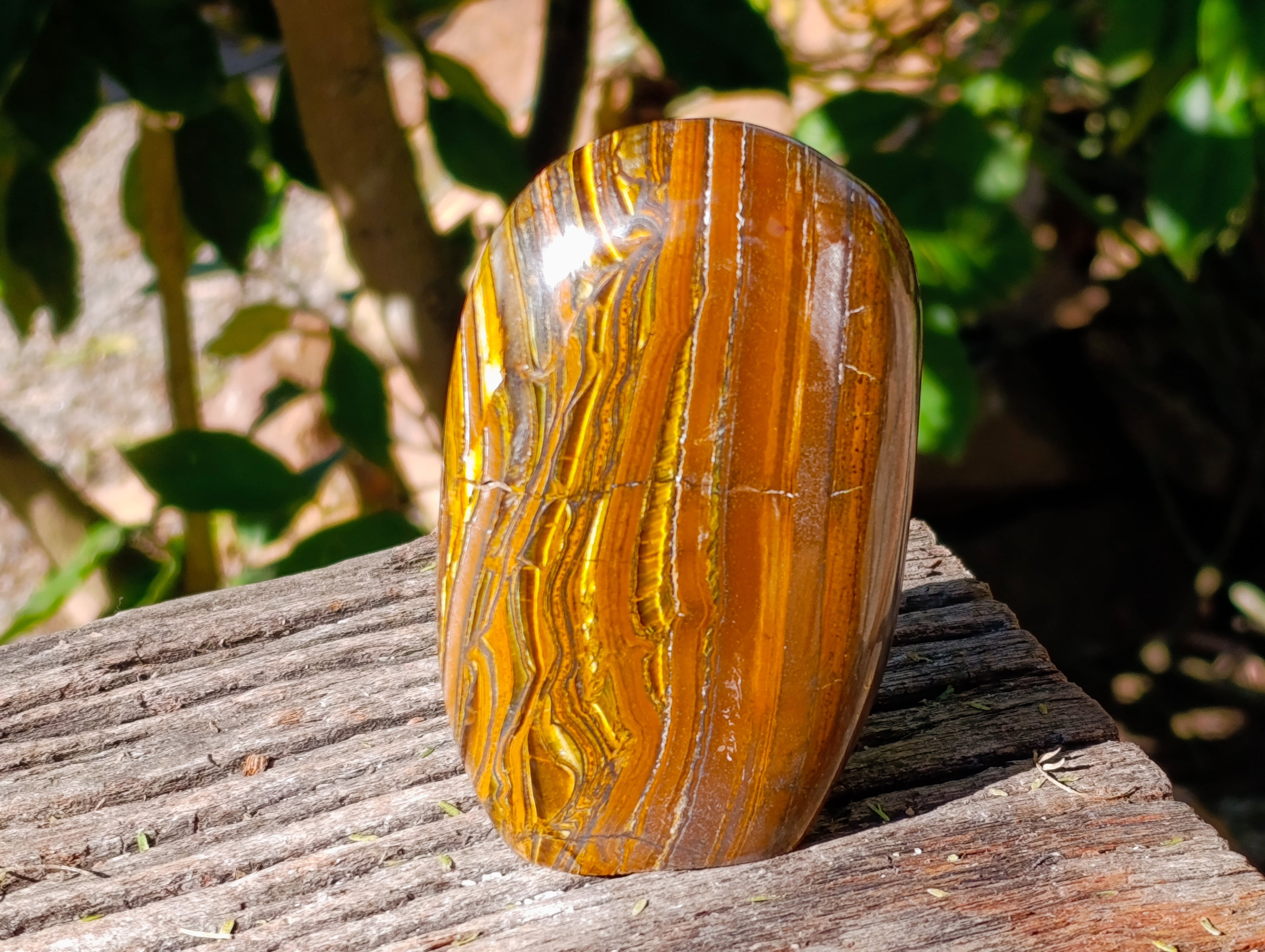 Polished Golden River Tigers Eye Standing Free Forms x 2 From Prieska, South Africa - Toprock Gemstones and Minerals 