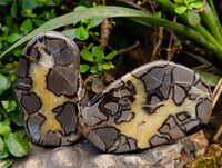 Polished Septerye Slices x 6 From Madagascar - Toprock Gemstones and Minerals 