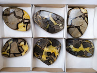 Polished Septerye Slices x 6 From Madagascar - Toprock Gemstones and Minerals 