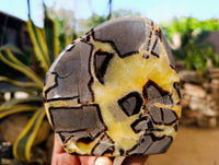 Polished Septerye Slices x 6 From Madagascar - Toprock Gemstones and Minerals 