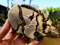 Polished Septerye Slices x 6 From Madagascar - Toprock Gemstones and Minerals 