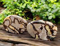 Polished Septerye Slices x 6 From Madagascar - Toprock Gemstones and Minerals 