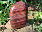 Polished Banded Tiger Iron with Tigers Eye Standing Free Forms x 2 From South Africa - Toprock Gemstones and Minerals 
