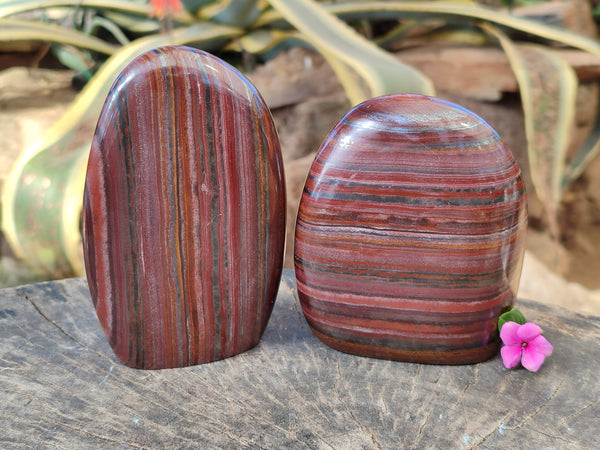 Polished Banded Tiger Iron with Tigers Eye Standing Free Forms x 2 From South Africa
