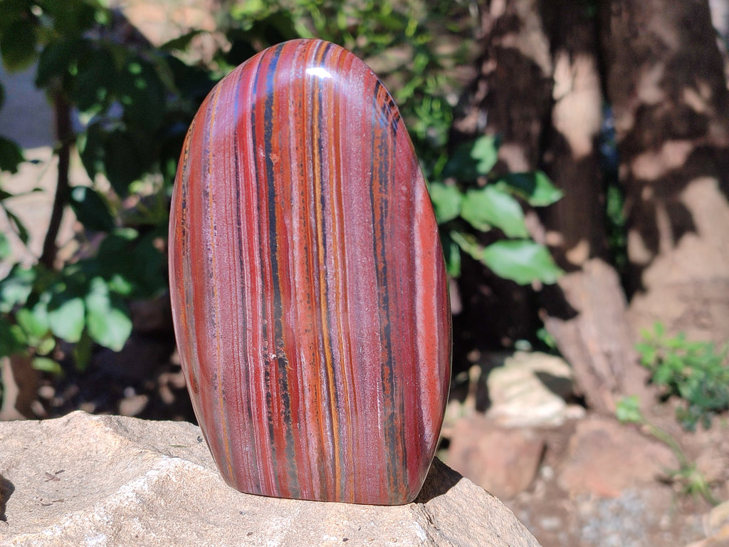 Polished Banded Tiger Iron with Tigers Eye Standing Free Forms x 2 From South Africa - Toprock Gemstones and Minerals 