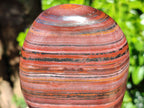 Polished Banded Tiger Iron with Tigers Eye Standing Free Forms x 2 From South Africa - Toprock Gemstones and Minerals 