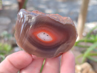 Polished On One Side Red Sashe River Agate Nodules x 12 From Zimbabwe