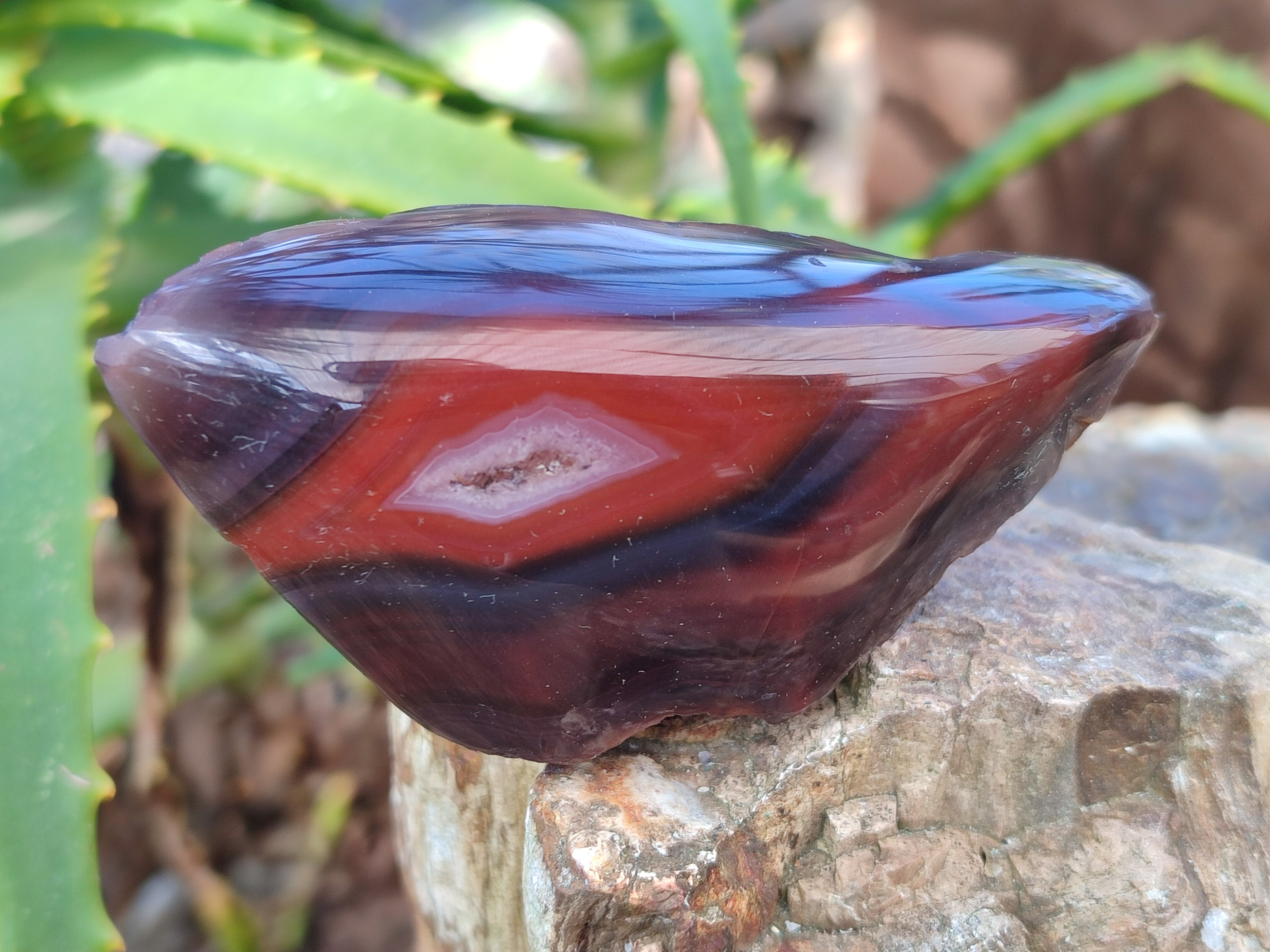 Polished On One Side Red Sashe River Agate Nodules x 12 From Zimbabwe - Toprock Gemstones and Minerals 