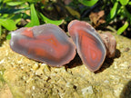 Polished On One Side Red Sashe River Agate Nodules x 12 From Zimbabwe - Toprock Gemstones and Minerals 
