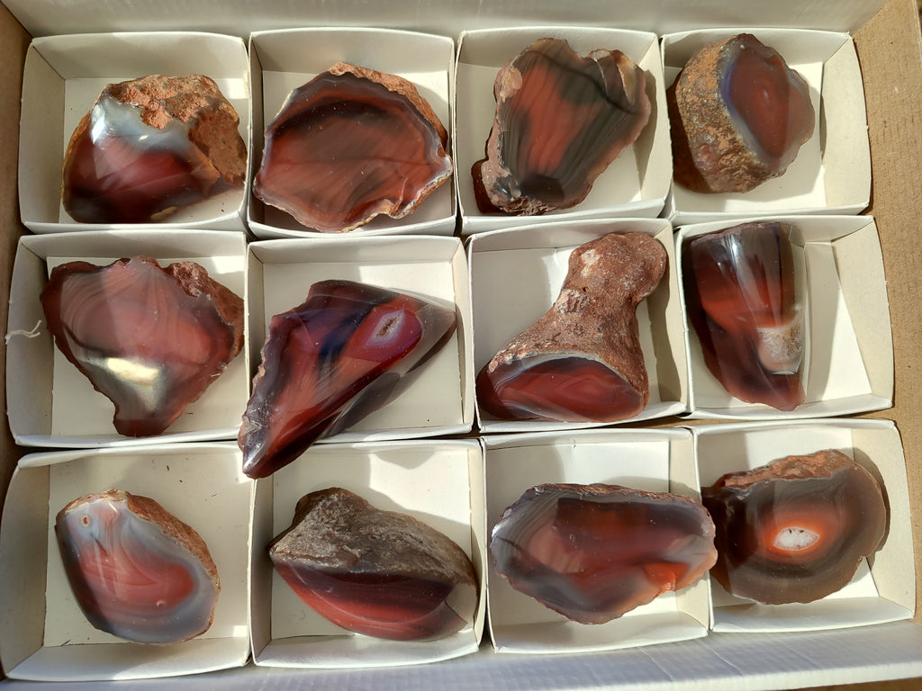Polished On One Side Red Sashe River Agate Nodules x 12 From Zimbabwe - Toprock Gemstones and Minerals 