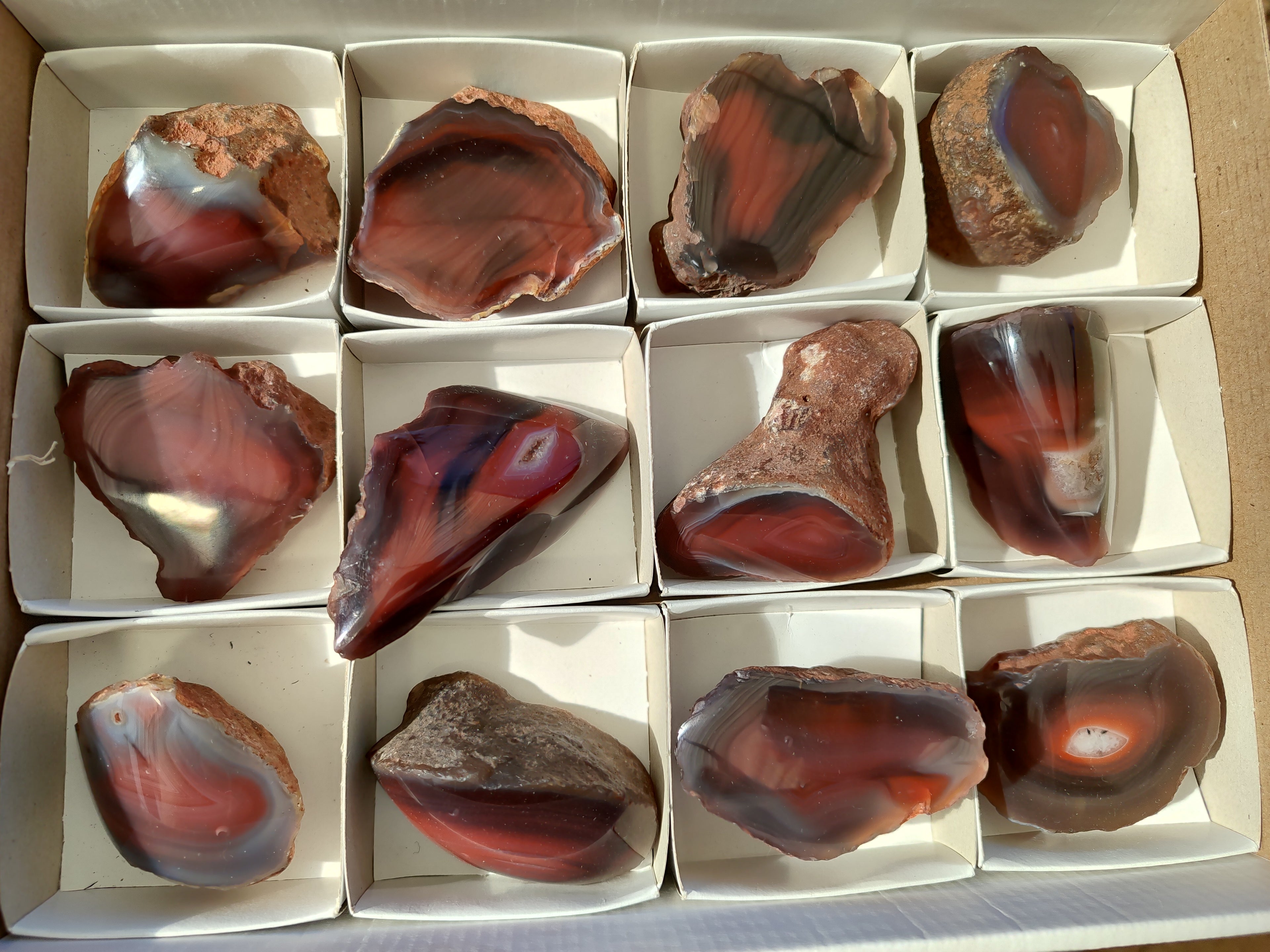 Polished On One Side Red Sashe River Agate Nodules x 12 From Zimbabwe - Toprock Gemstones and Minerals 
