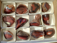 Polished On One Side Red Sashe River Agate Nodules x 12 From Zimbabwe
