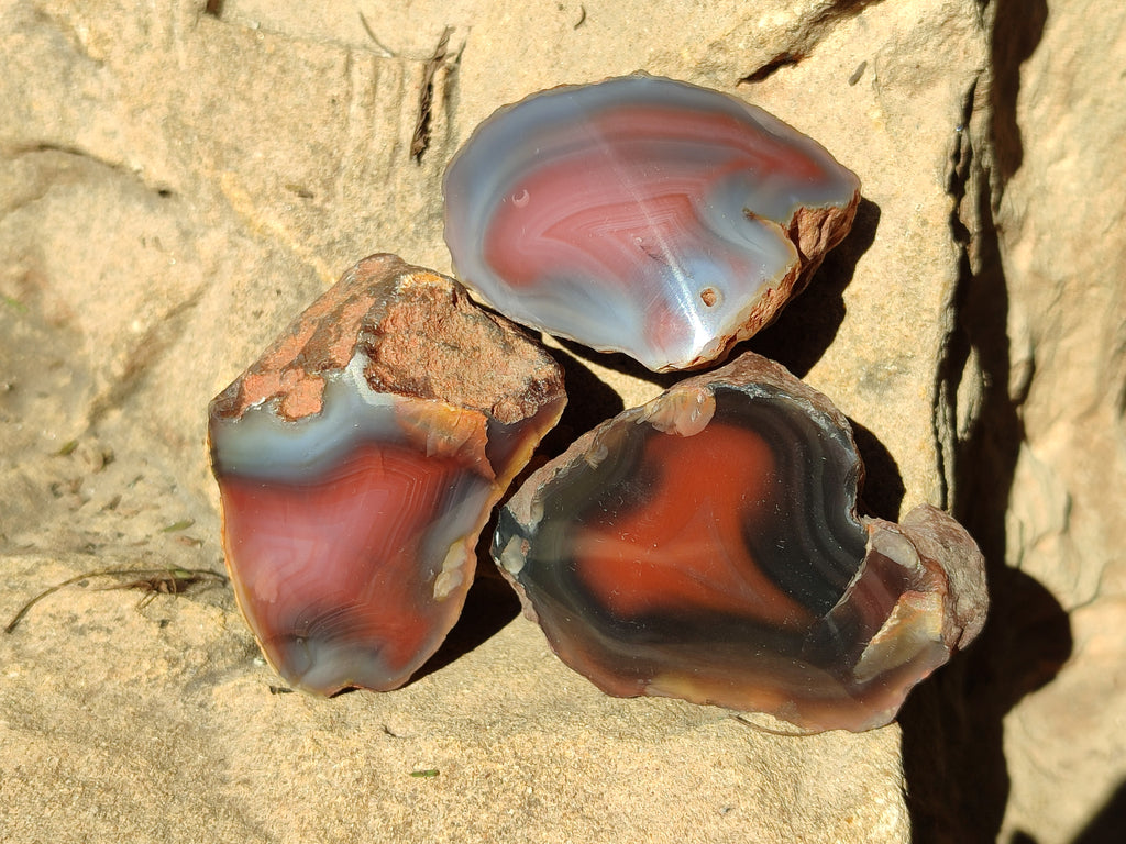 Polished On One Side Red Sashe River Agate Nodules x 12 From Zimbabwe - Toprock Gemstones and Minerals 
