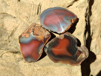 Polished On One Side Red Sashe River Agate Nodules x 12 From Zimbabwe