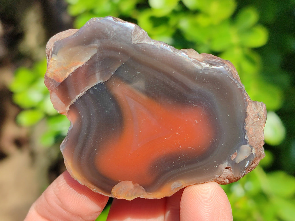 Polished On One Side Red Sashe River Agate Nodules x 12 From Zimbabwe - Toprock Gemstones and Minerals 