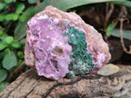 Natural Drusy Salrose Cobaltion Dolomite with Ball Malachite Specimens x 3 From Congo - Toprock Gemstones and Minerals 