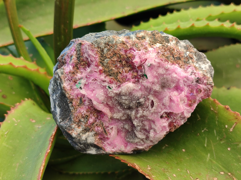 Natural Drusy Salrose Cobaltion Dolomite with Ball Malachite Specimens x 3 From Congo - Toprock Gemstones and Minerals 