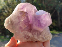 Natural Jacaranda Amethyst Quartz Cluster x 2 From Mumbwa, Zambia - Toprock Gemstones and Minerals 