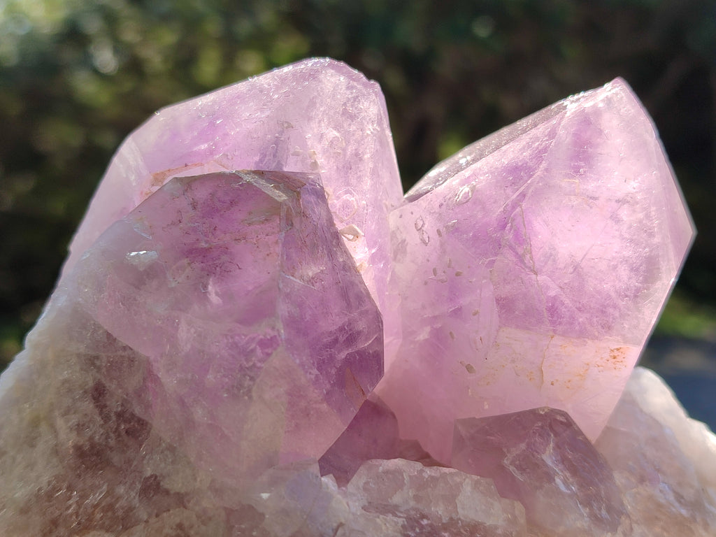 Natural Jacaranda Amethyst Quartz Cluster x 2 From Mumbwa, Zambia - Toprock Gemstones and Minerals 