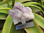 Natural Jacaranda Amethyst Quartz Cluster x 2 From Mumbwa, Zambia - Toprock Gemstones and Minerals 
