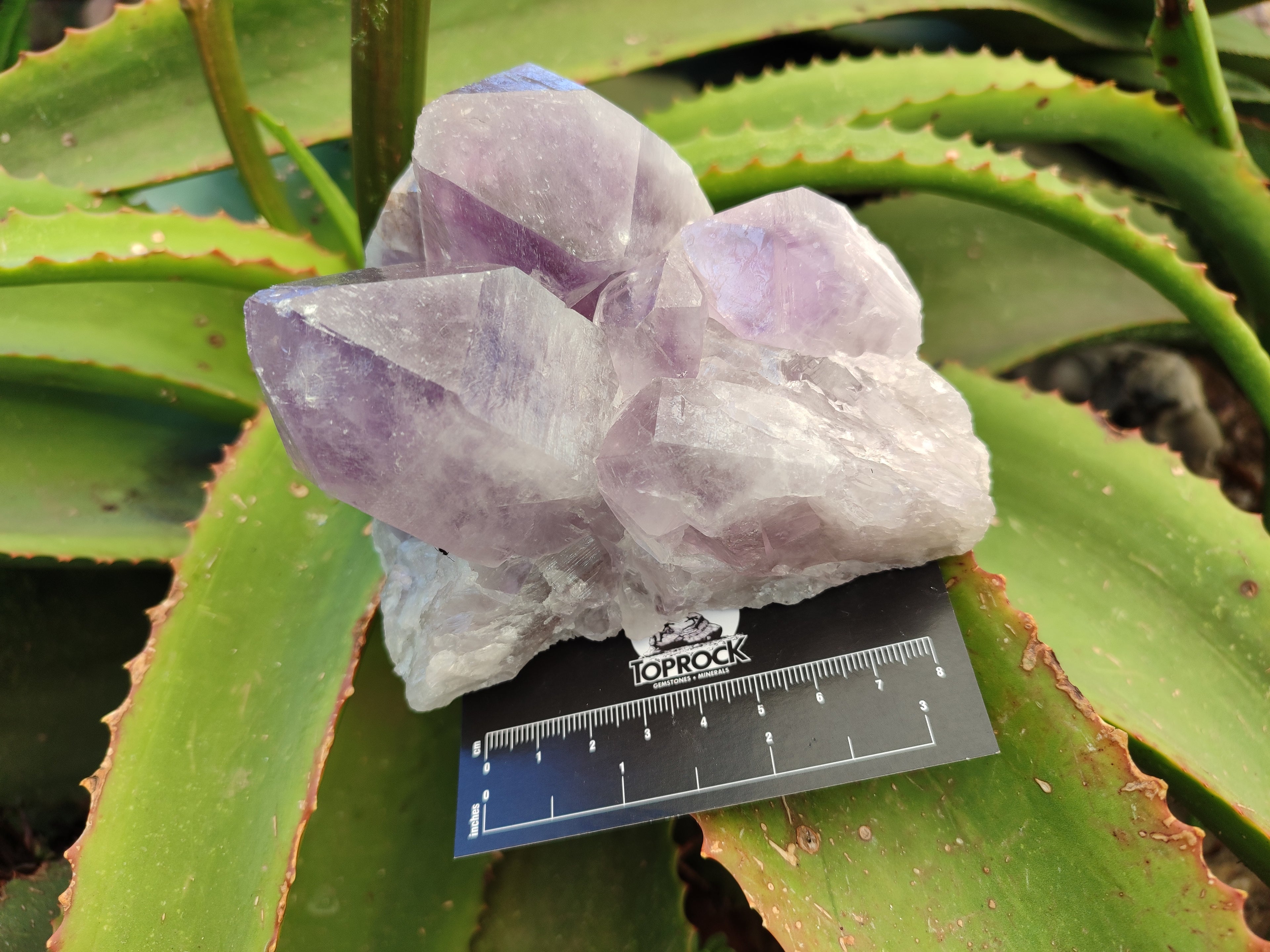 Natural Jacaranda Amethyst Quartz Cluster x 2 From Mumbwa, Zambia - Toprock Gemstones and Minerals 