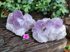 Natural Jacaranda Amethyst Quartz Cluster x 2 From Mumbwa, Zambia - Toprock Gemstones and Minerals 