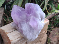 Natural Jacaranda Amethyst Quartz Cluster x 2 From Mumbwa, Zambia - Toprock Gemstones and Minerals 