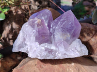 Natural Jacaranda Amethyst Quartz Cluster x 2 From Mumbwa, Zambia - Toprock Gemstones and Minerals 