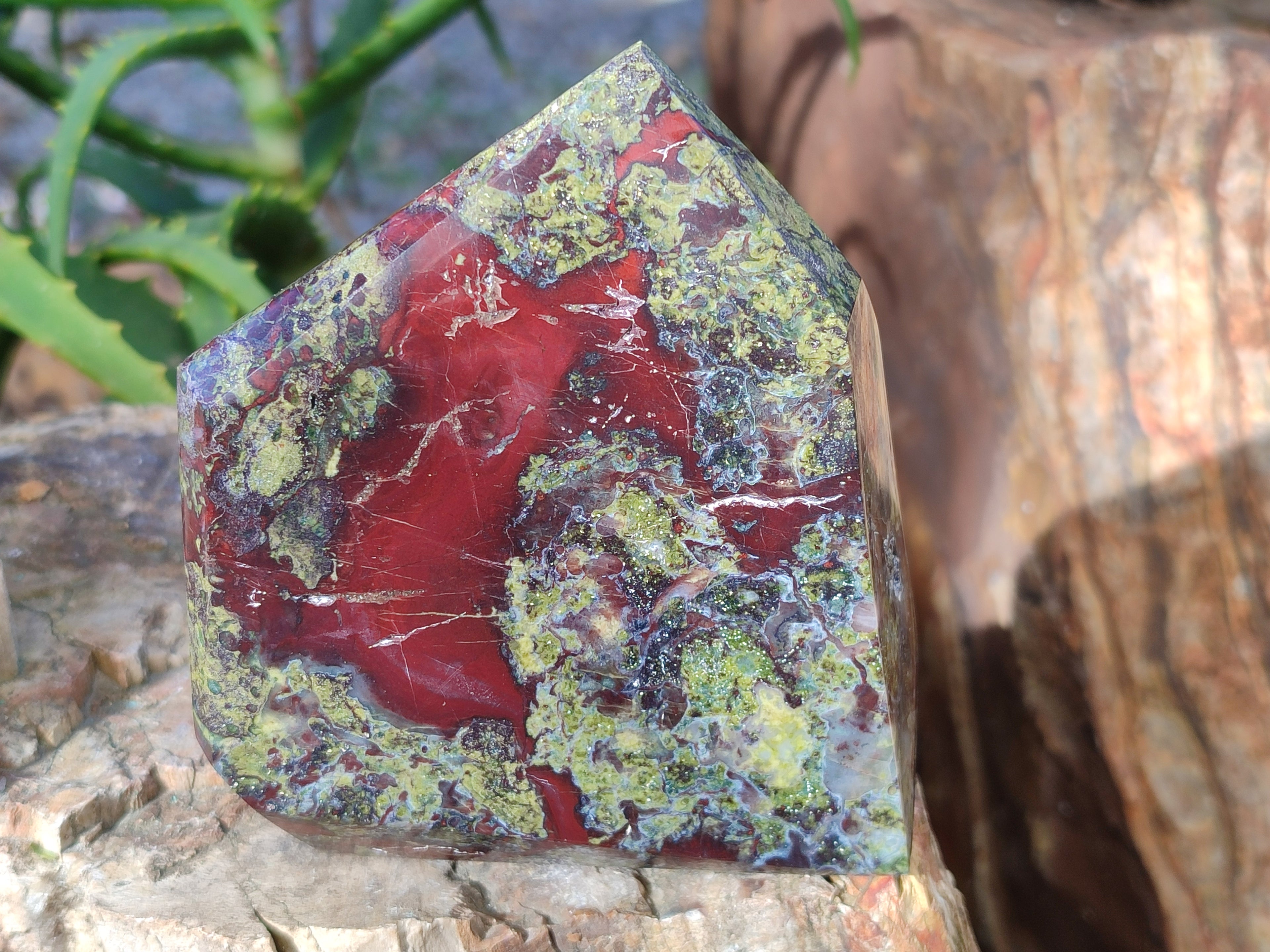 Polished Bastite Dragons Blood Stone Points x 3 From Tshipise, South Africa - Toprock Gemstones and Minerals 