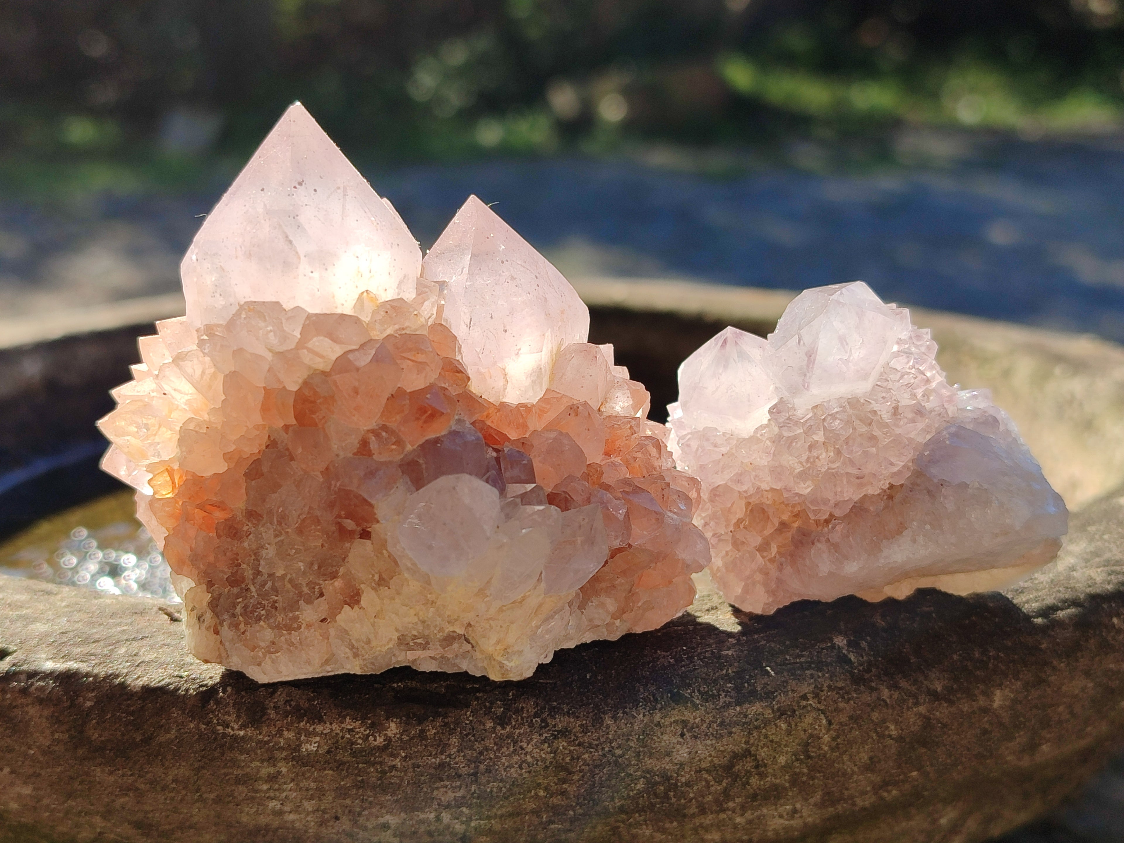 Natural Cactus Flower Amethyst Spirit Quartz Clusters x 18 From South Africa - Toprock Gemstones and Minerals 