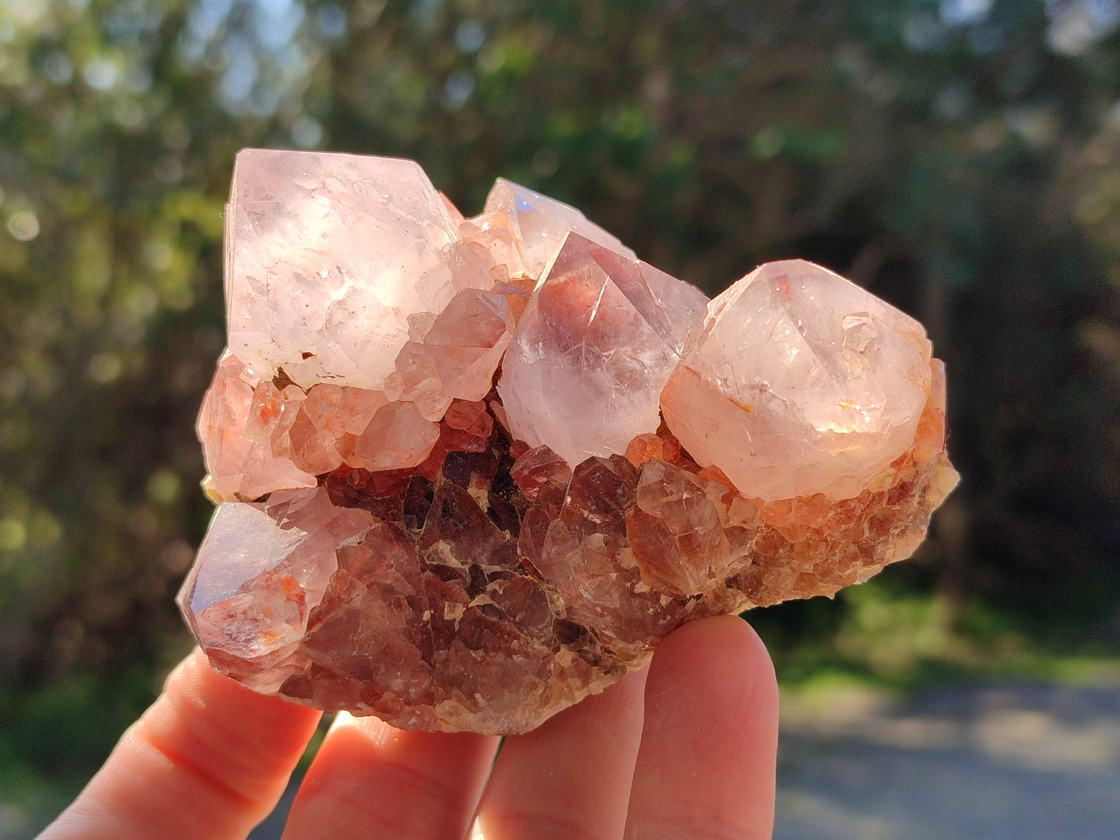 Natural Cactus Flower Amethyst Spirit Quartz Clusters x 18 From South Africa - Toprock Gemstones and Minerals 