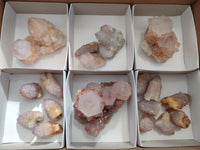 Natural Cactus Flower Amethyst Spirit Quartz Clusters x 18 From South Africa - Toprock Gemstones and Minerals 
