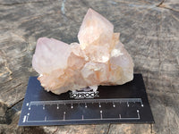 Natural Cactus Flower Amethyst Spirit Quartz Clusters x 18 From South Africa - Toprock Gemstones and Minerals 