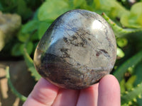 Polished Rare Pharaoh Stone Pyrite in Basalt Palm Stones x 6 Iron Duke Mine, Zimbabwe